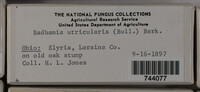 Image Associated With the Occurence